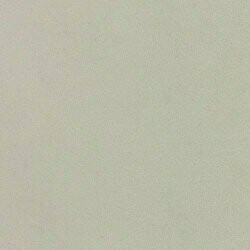 Kontinentalseng Caseus (Magic Velvet 2201)