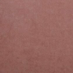 Kontinentalseng Litus (Mono 235)