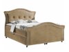 Kontinentalseng Baltimore 136 (Magic Velvet 2206)