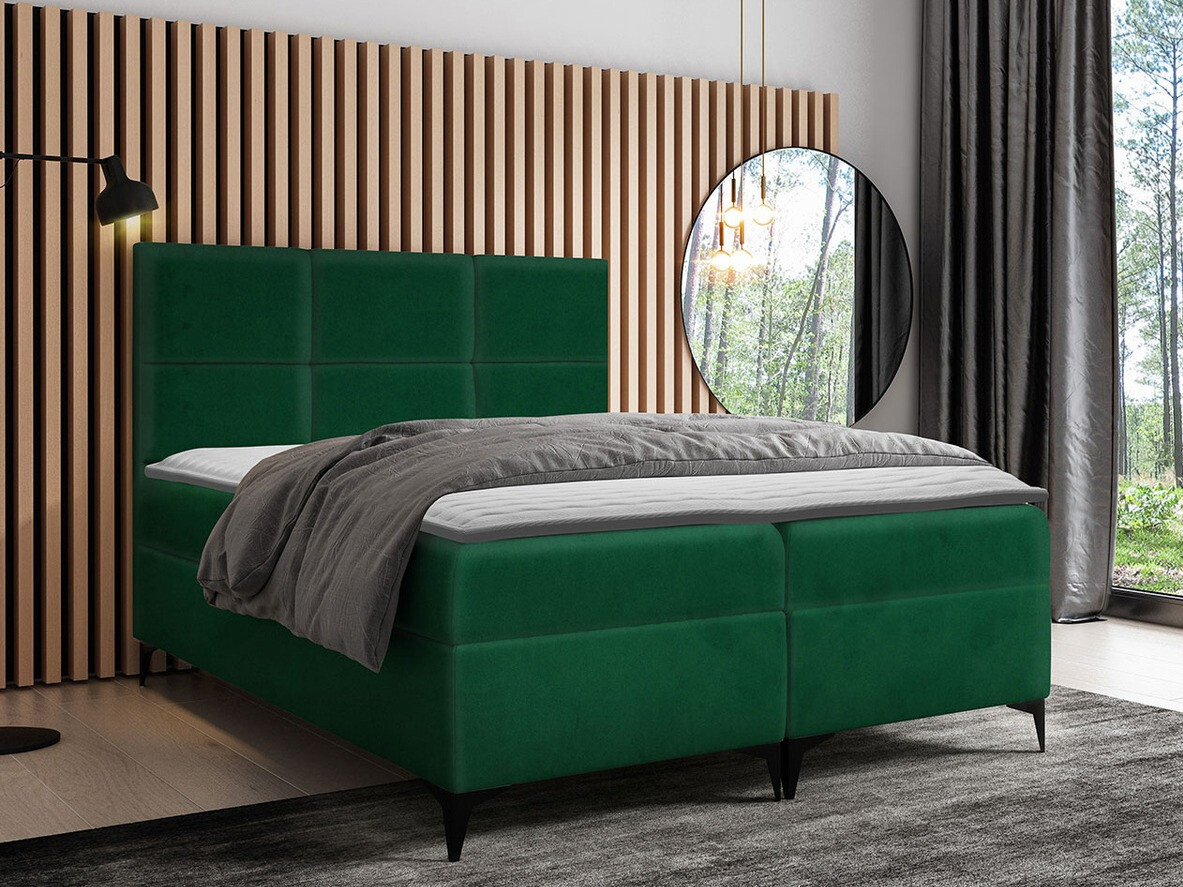 Kontinentalseng Mare (Magic Velvet 2225)