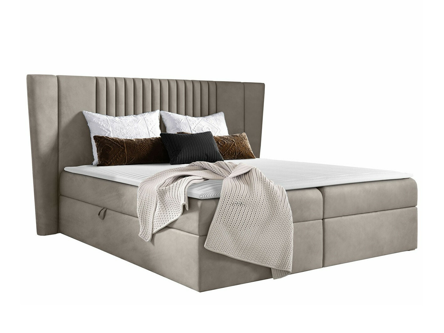 Kontinentalseng Fenestra (Magic Velvet 2209)