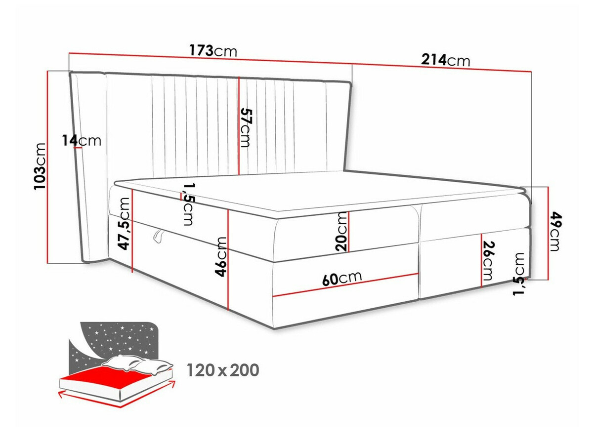 Kontinentalseng Fenestra (Magic Velvet 2239)