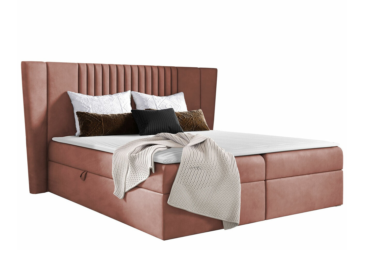 Kontinentalseng Fenestra (Magic Velvet 2258)