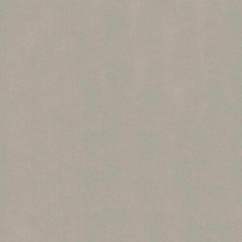 Seng ComfiDream Onana (Fresh 01)