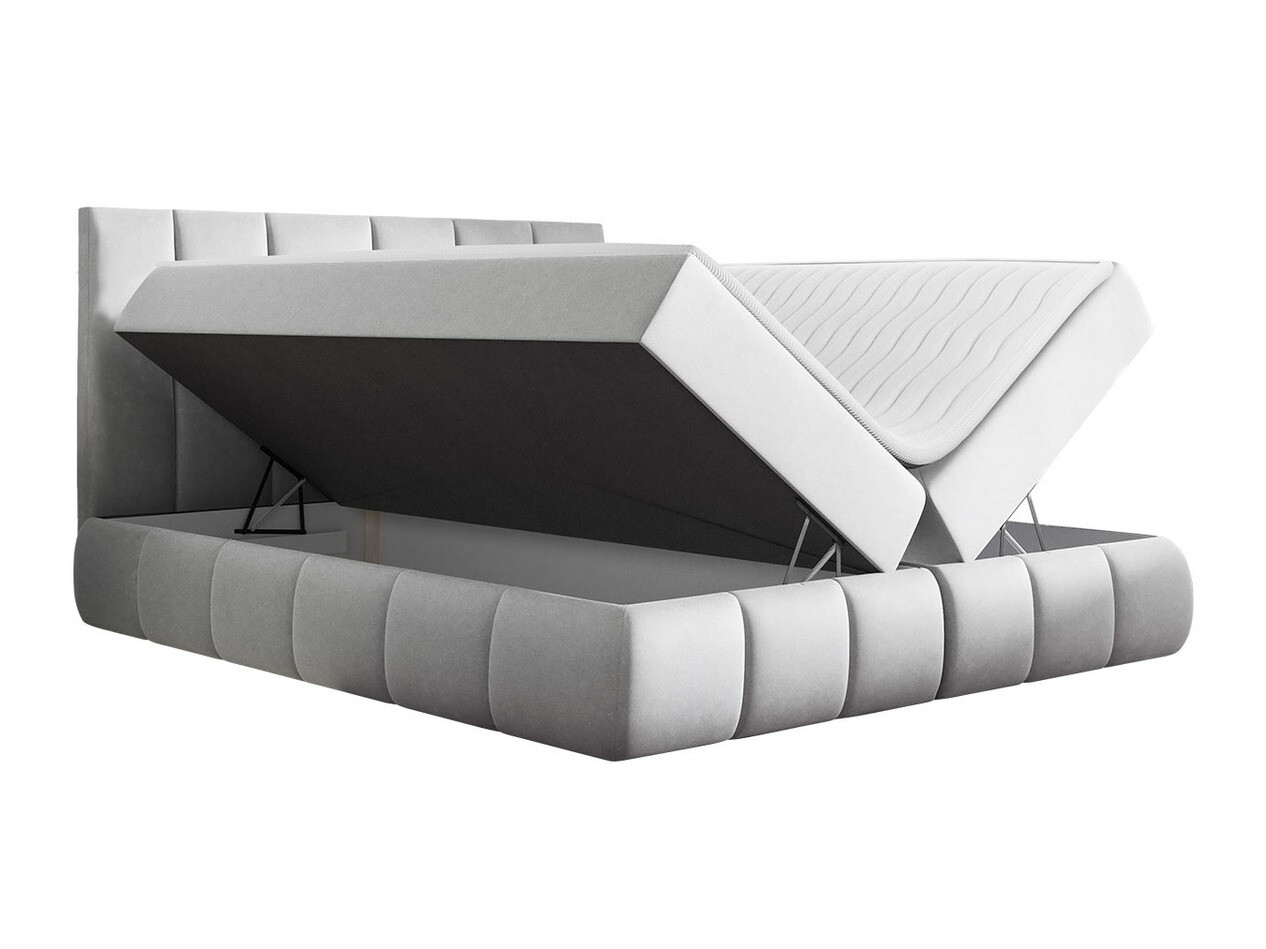 Kontinentalseng Cursus (Kronos 26)