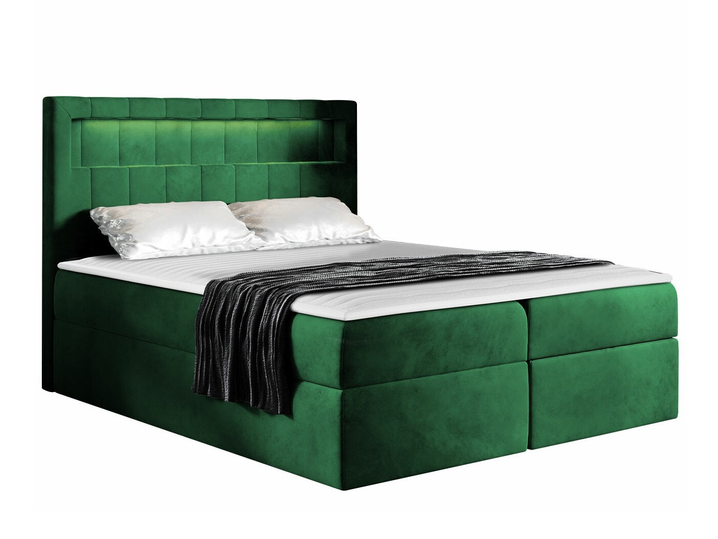 Kontinentalseng Pomum (Magic Velvet 2225)