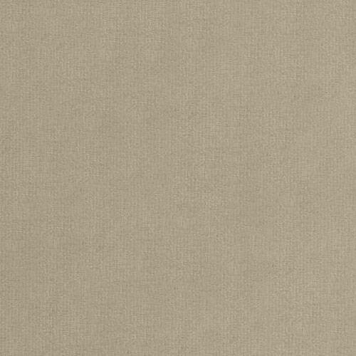 Seng TrendyNest Pelagia (Manila 02)