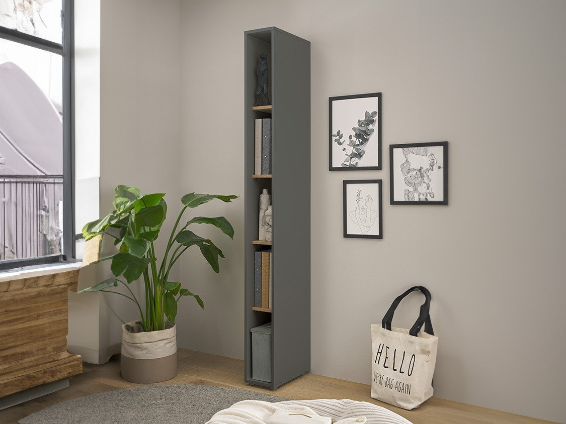 Reol Elbsori 105 (Antracit + Wotan eg)