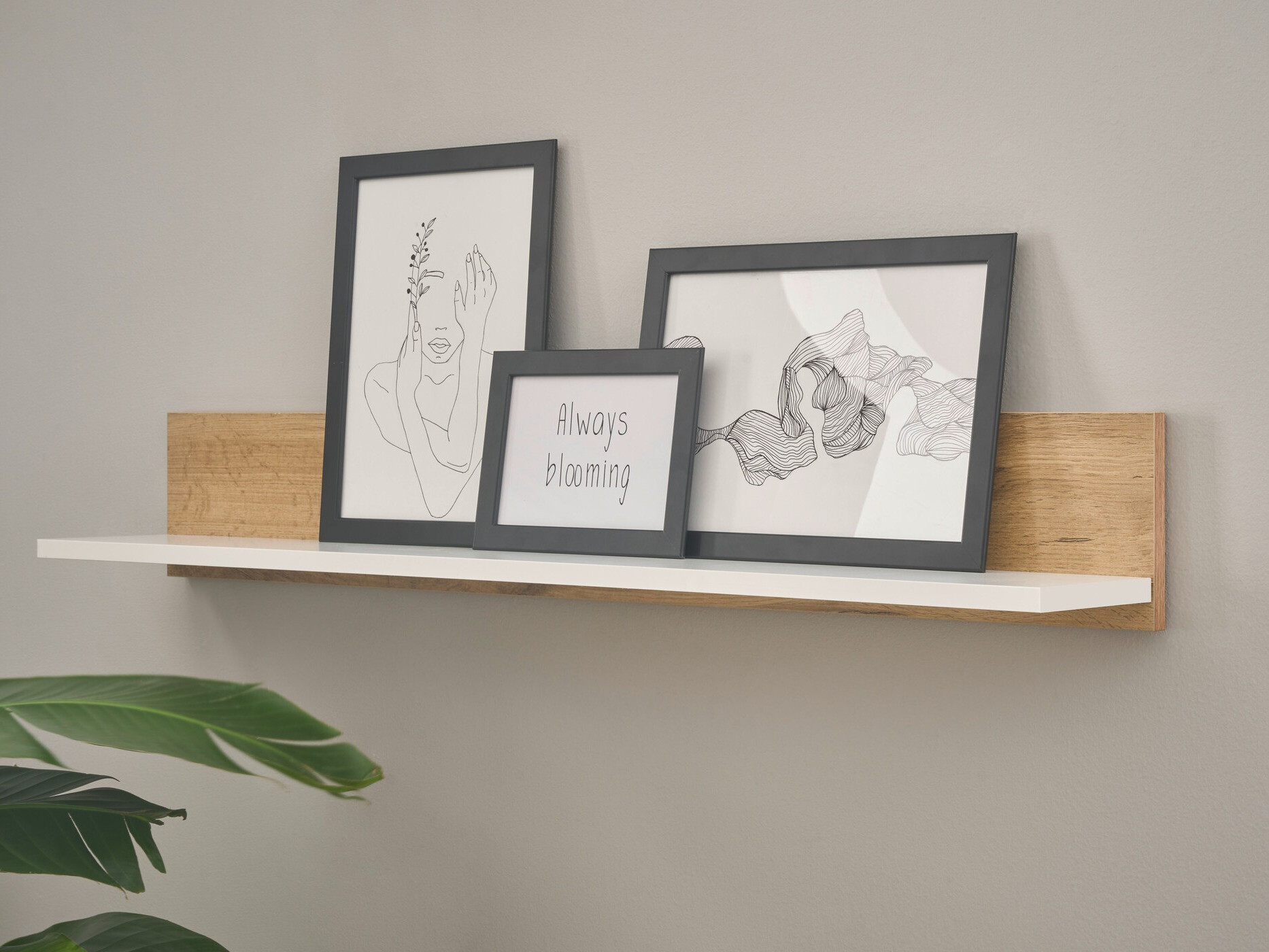 Vægreol Elbsori 134 (Wotan eg + Hvid)