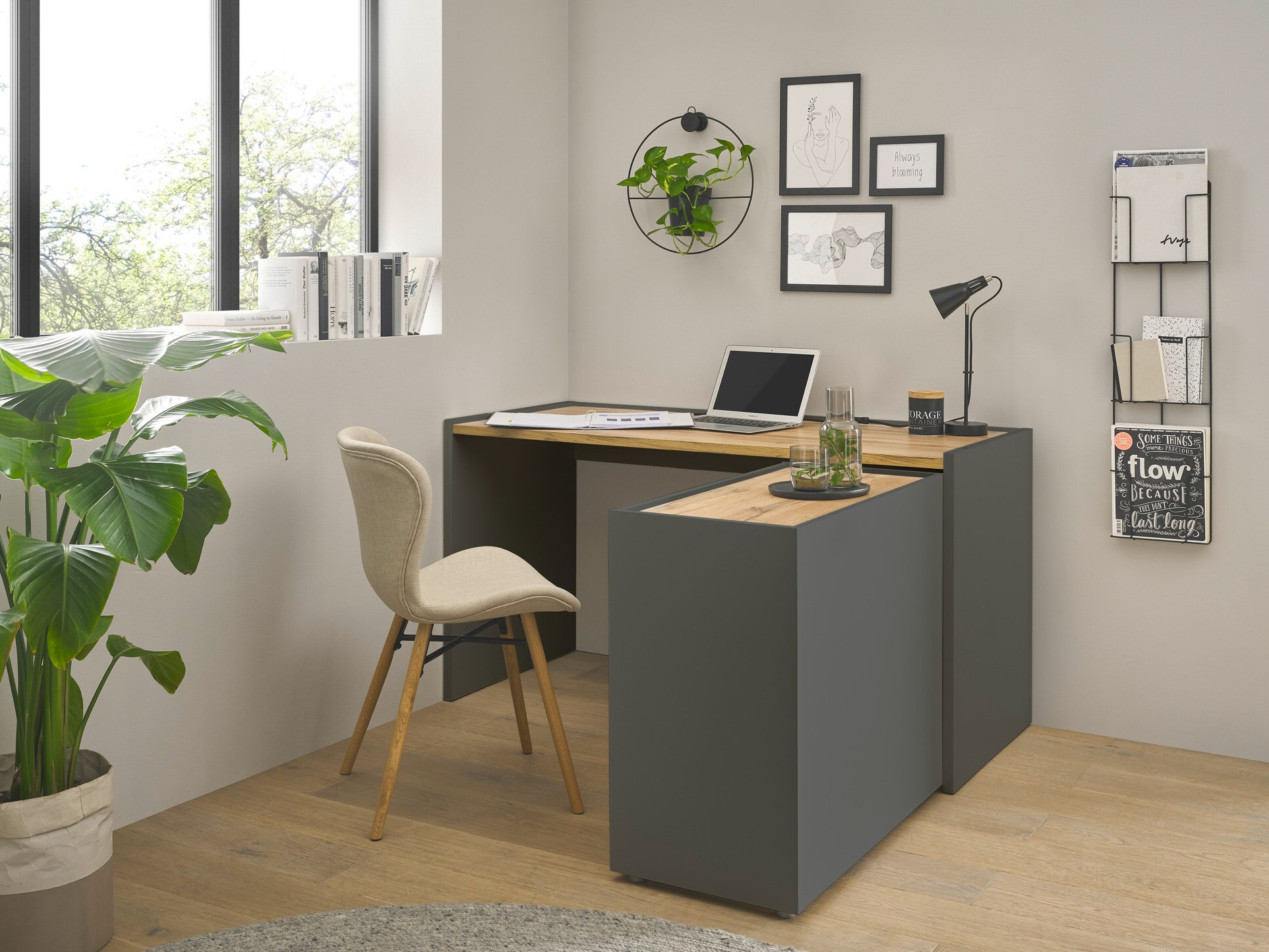 Hjemmekontorsæt Elbsori 151 (Antracit + Wotan eg)
