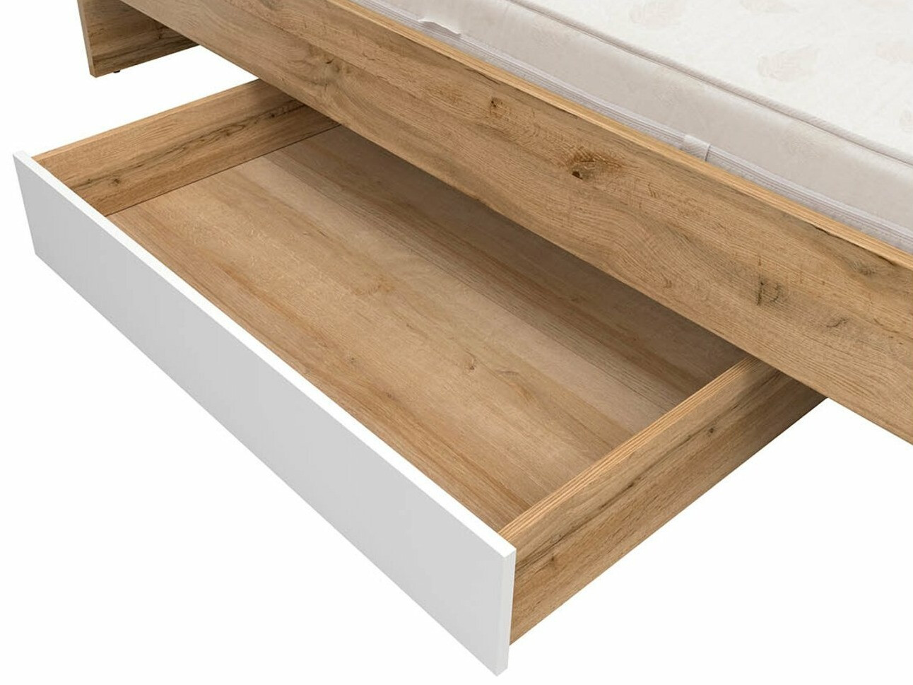 Opbevaringsboks Tivetra 122 (Wotan eg + Glansfuld hvid)