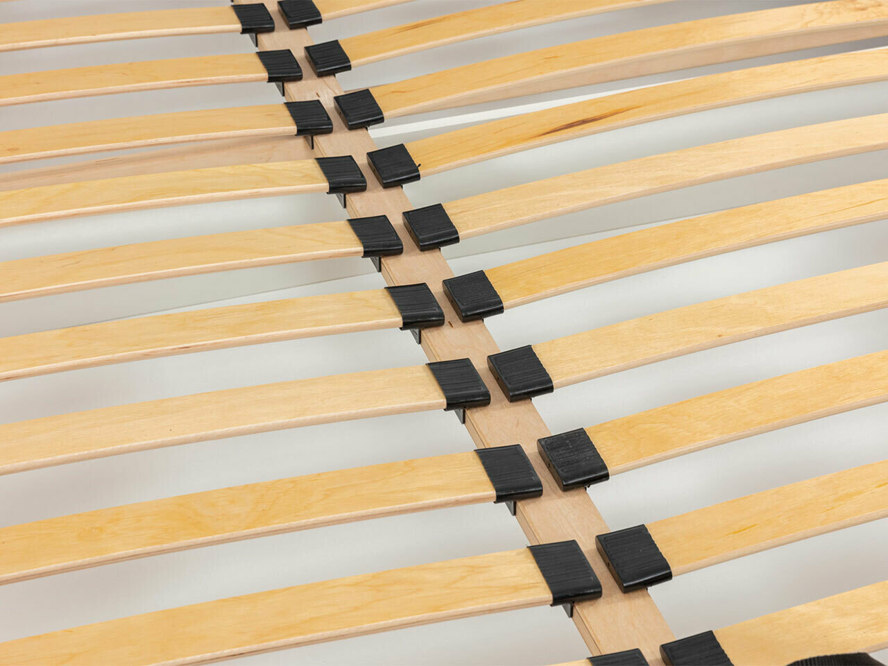 Seng TrendyNest Alceus I (Paros 01)