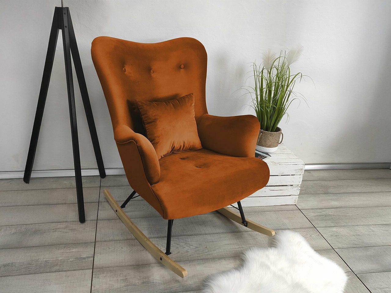 Gyngestol Clovis 101 (Magic Velvet 2213)