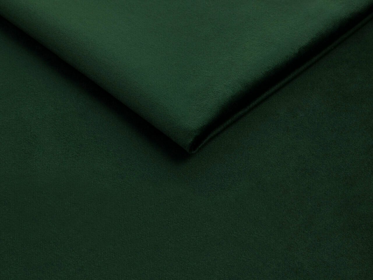 Seng Baltimore 202 (Fresh 13)