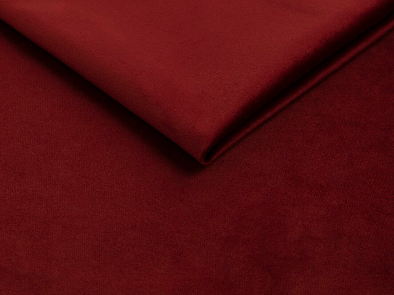 Seng Baltimore 203 (Fresh 8)