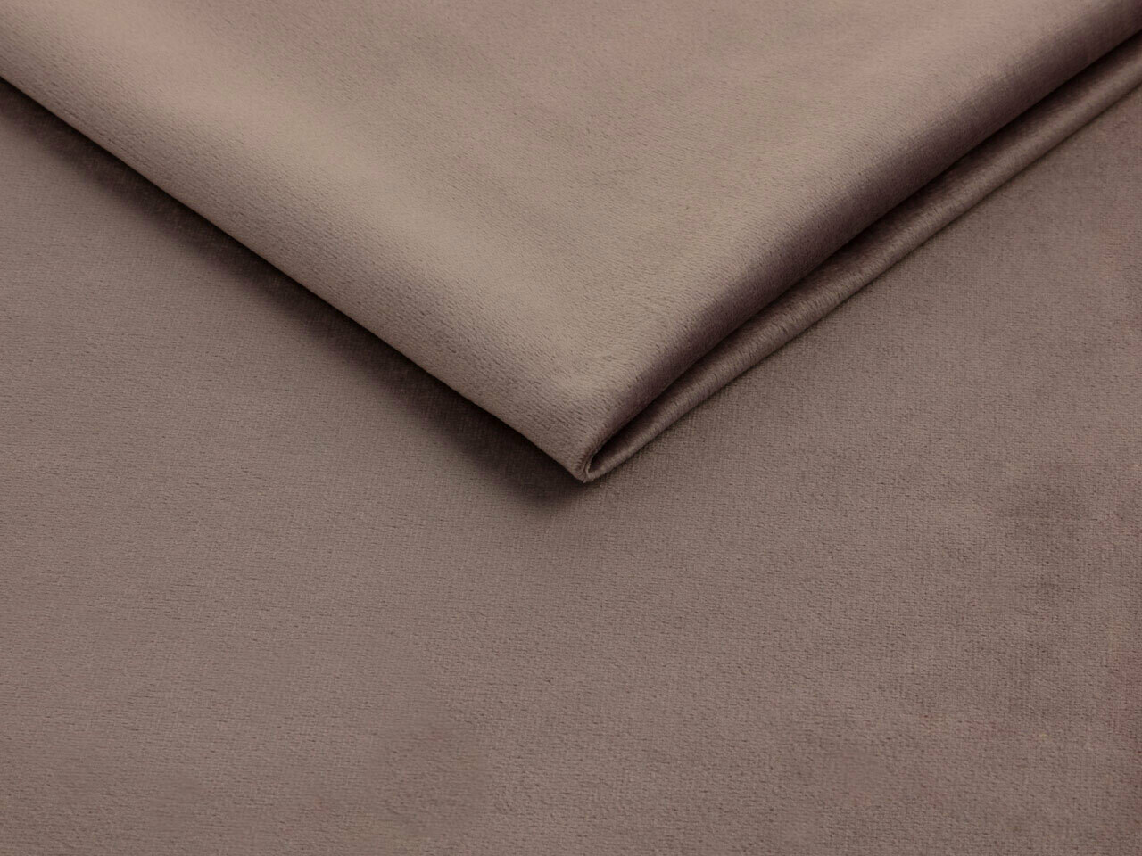 Seng Baltimore 203 (Fresh 9)