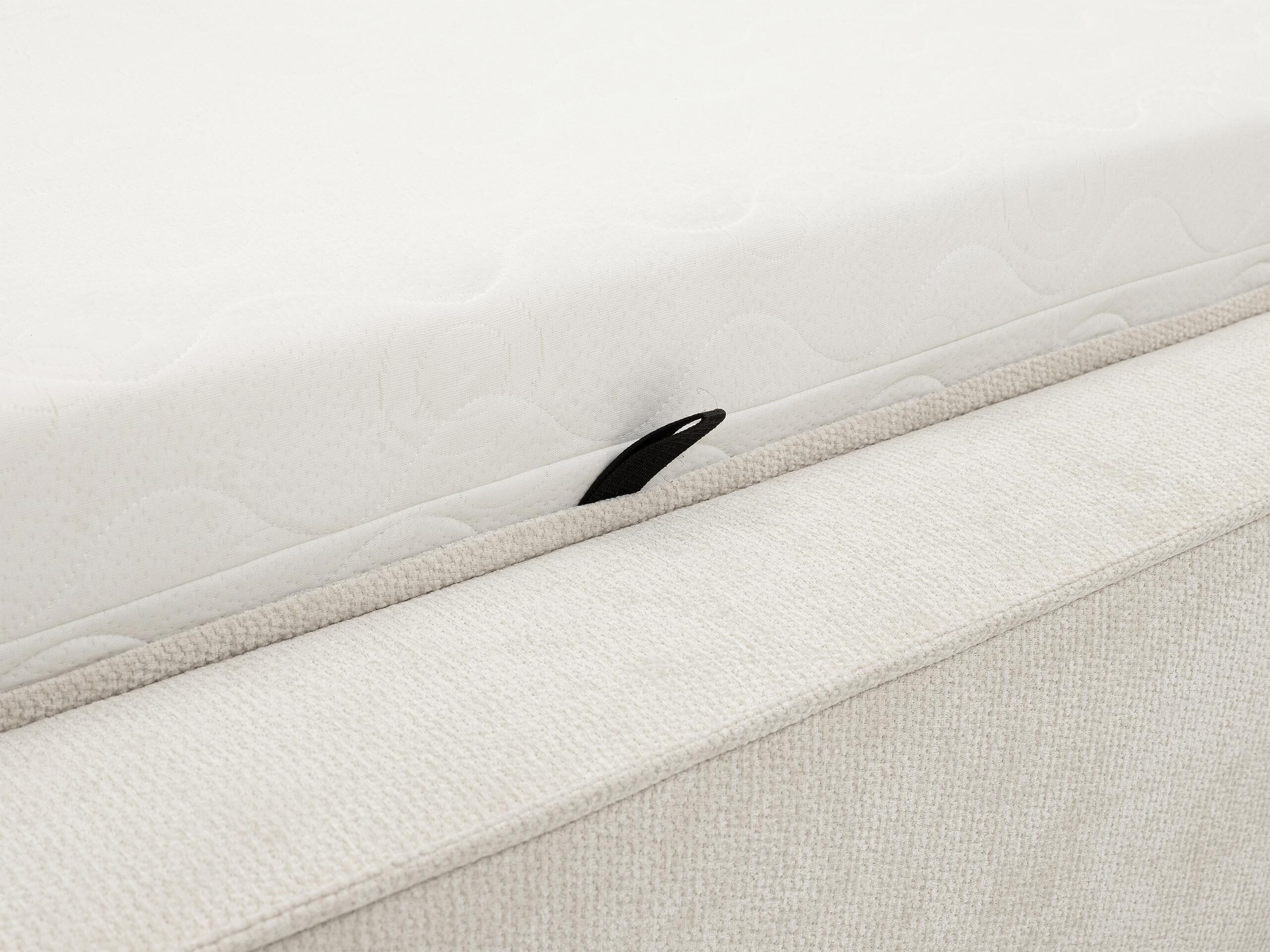 Seng TrendyNest Cedra (Lumo 65)