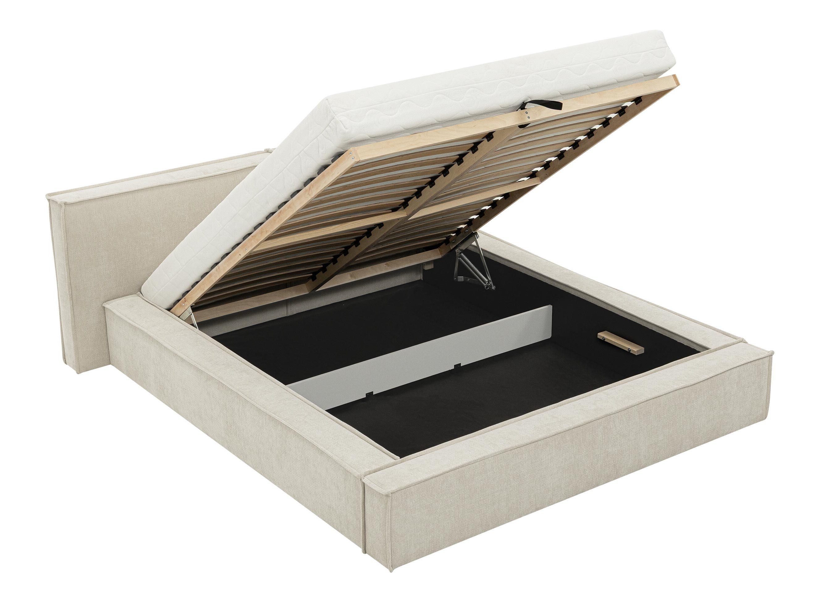 Seng TrendyNest Cedra (Lumo 65)