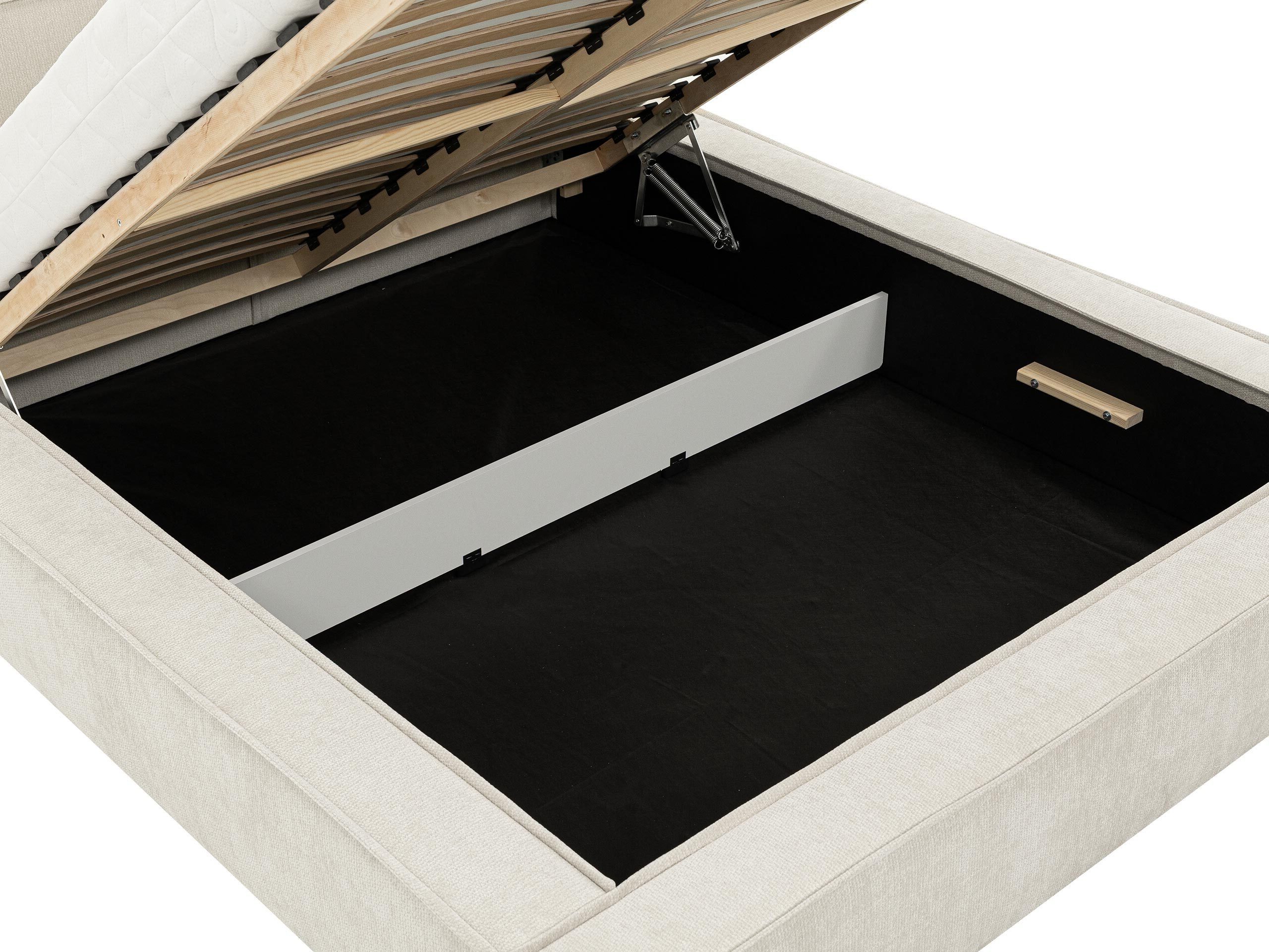 Seng TrendyNest Cedra (Lumo 65)